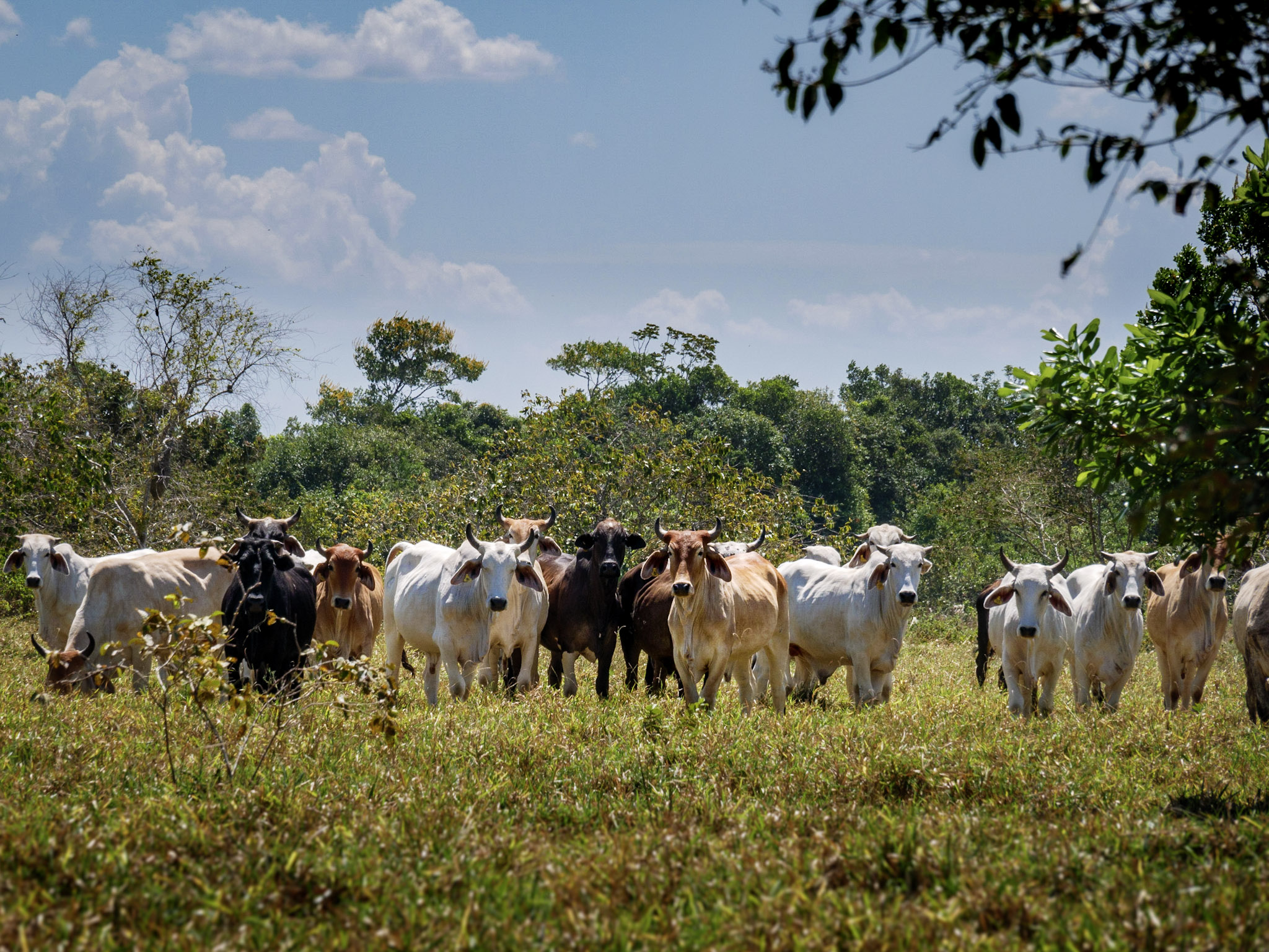 Campamento de Agricultura Regenerativa